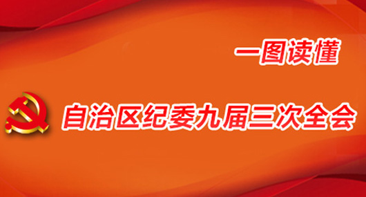 一图读懂：自治区纪委九届三次全会