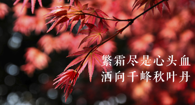 谈建设世界科技强国，习近平总书记引用了哪些典故？