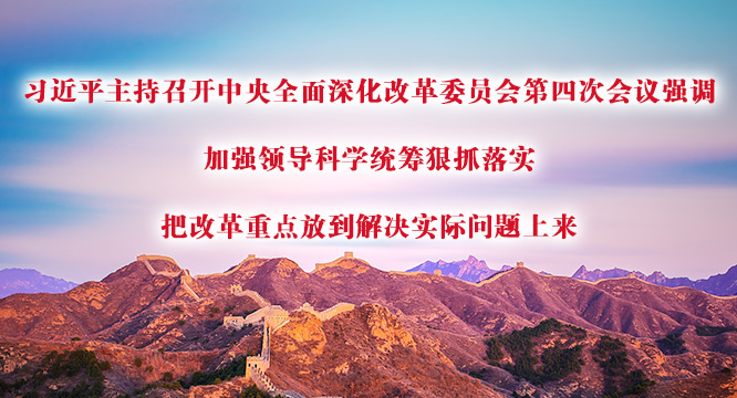 习近平：加强领导科学统筹狠抓落实  把改革重点放到解决实际问题上来