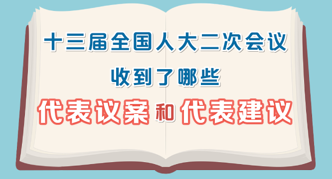 十三届全国人大二次会议收到了哪些代表议案和代表建议