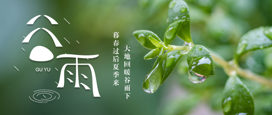 特别策划丨今日，谷雨