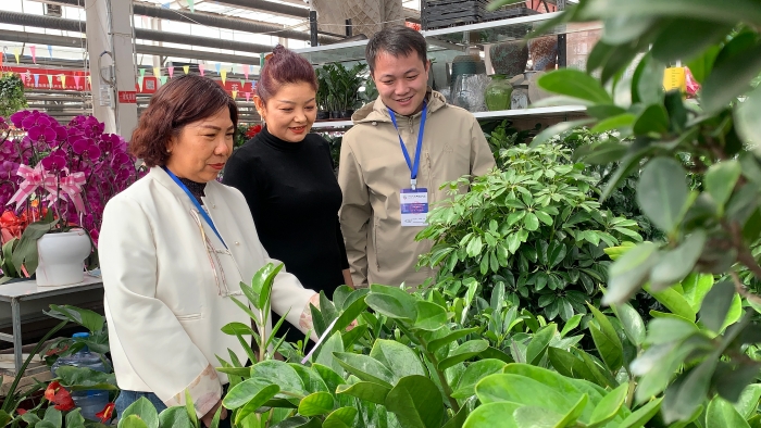 镜头丨严纪律强监督 让节点更"清明"
