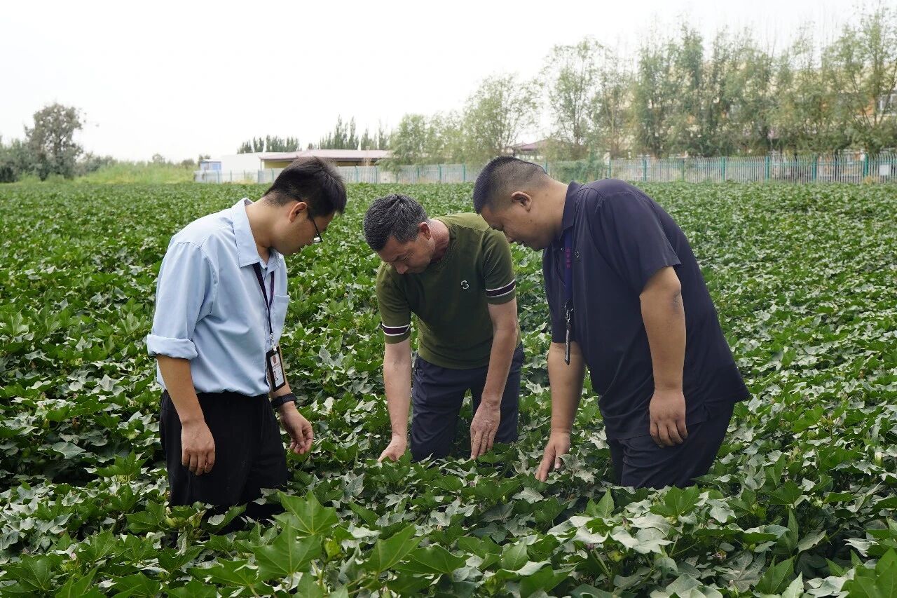 一周&ldquo;廉&rdquo;情丨靶向发力增进民生福祉