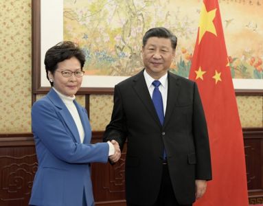 习近平会见来京述职的林郑月娥